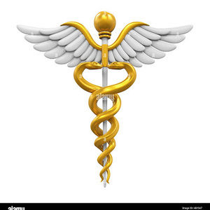 Meet your Posher, Jeanne